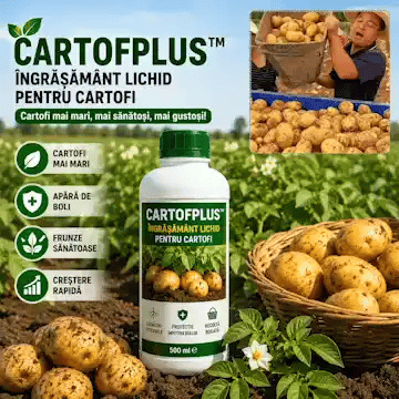 Îngrășământ Lichid CartofPlus